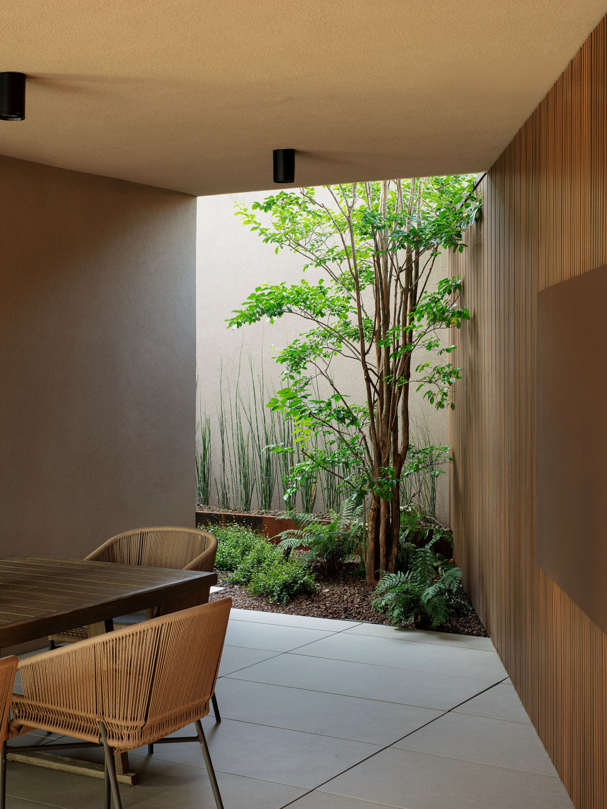 Portico della villa con albero ornamentale e sedute outdoor intrecciate