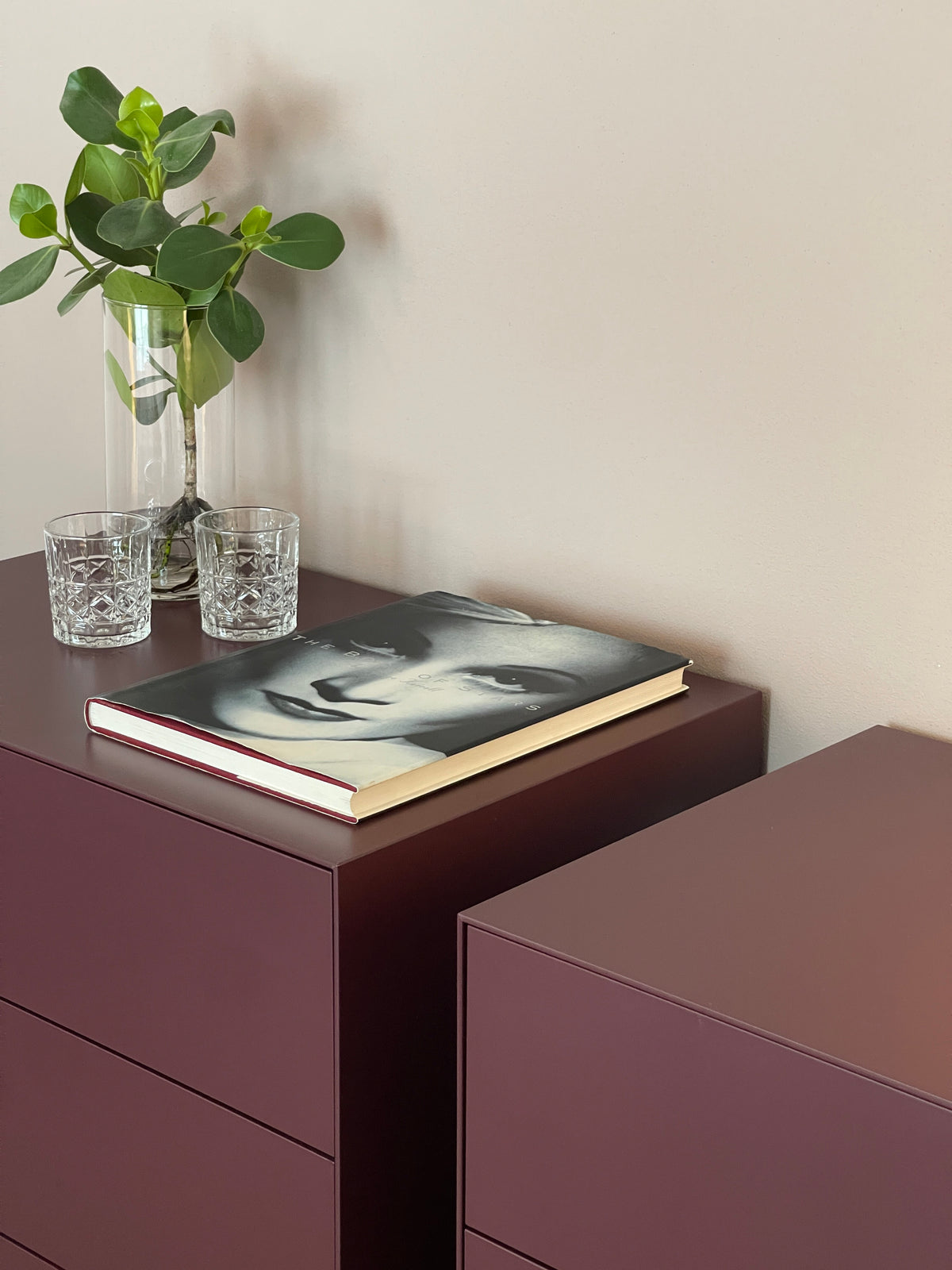 Dettaglio arredo camera padronale con cassettiera bordeaux, vaso con verde e libro decorativo